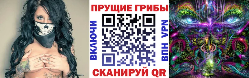 наркошоп  Нязепетровск  Псилоцибиновые грибы GOLDEN TEACHER 